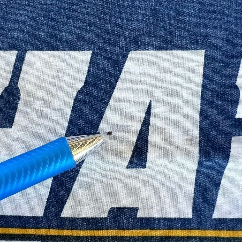 VTG NFL Chargers Double-Sided Standard Pillowcase San Diego Los Angeles Bolts